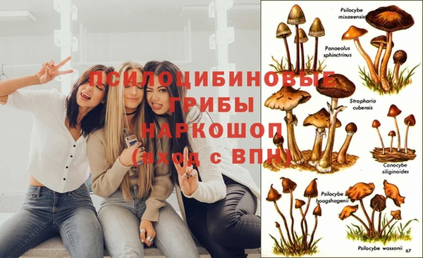 экстази Баксан