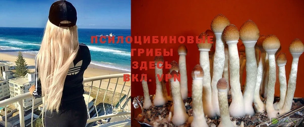 экстази Баксан