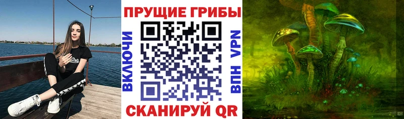 Купить закладки  Южноуральск  Псилоцибиновые грибы ЛСД 